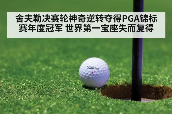 舍夫勒决赛轮神奇逆转夺得PGA锦标赛年度冠军 世界第一宝座失而复得